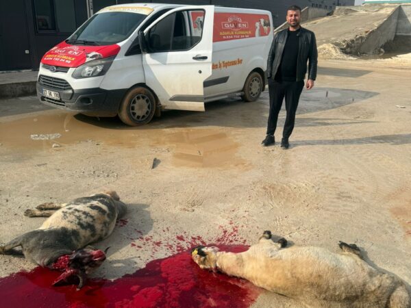 WhatsApp Image 2026-02-02 at 17.05.19-2