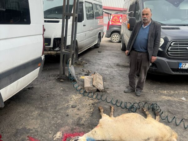 WhatsApp Image 2026-02-02 at 17.05.19-3