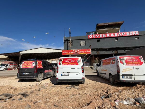 WhatsApp Image 2026-03-06 at 09.34.44